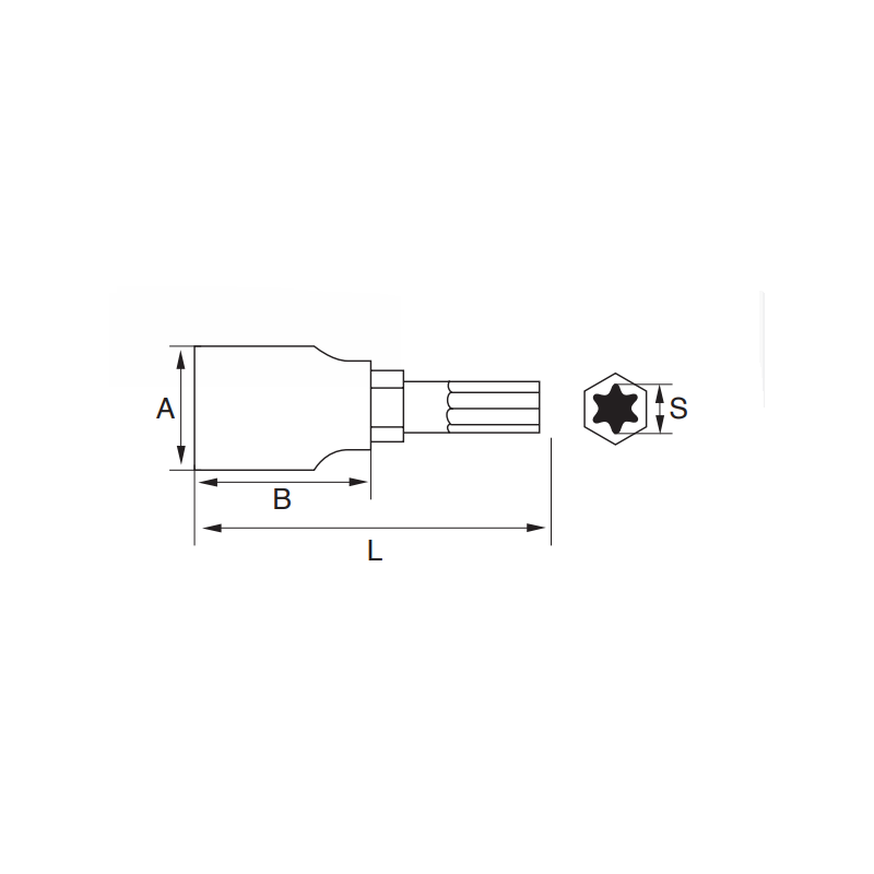 Vaso punta Torx 1/4'