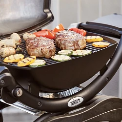 Barbacoa de Gas Q 1200 Stand Color Negro