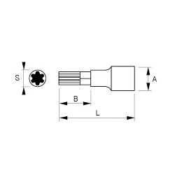 Vaso con punta Torx 1/2'' de Irimo