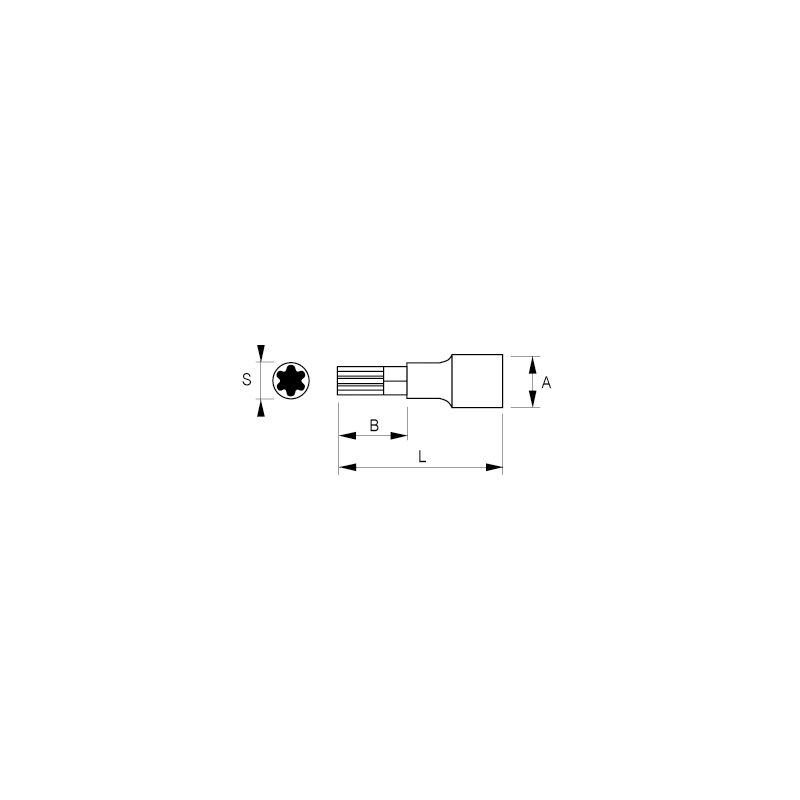 Vaso con punta Torx 1/2'' de Irimo