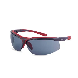 Gafas Aventur Pro