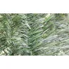 Seto artificial de hoja fina bicolor de 36 varillas