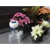 Kit de riego automático con bomba programable Aqua Control