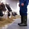 Bota de agua Bekina StepliteX Thermoprotec S5