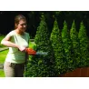 Kit de tijera cortacésped y arreglasetos GSL700-QW Black&Decker