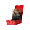 Juego de 25 brocas A095 Dormer