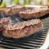 Barbacoa eléctrica Lumin Compact de Weber