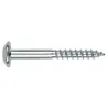 Tornillo para madera inviolable de huella Tx zincado
