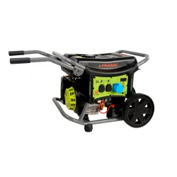 Generador PRAMAC WX7000 AVR...