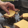 Barbacoa de gas Weber Spirit E-425 + Plancha 7421 de regalo