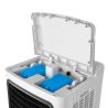 Climatizador Evaporativo Orbegozo AIR 80 (150W)