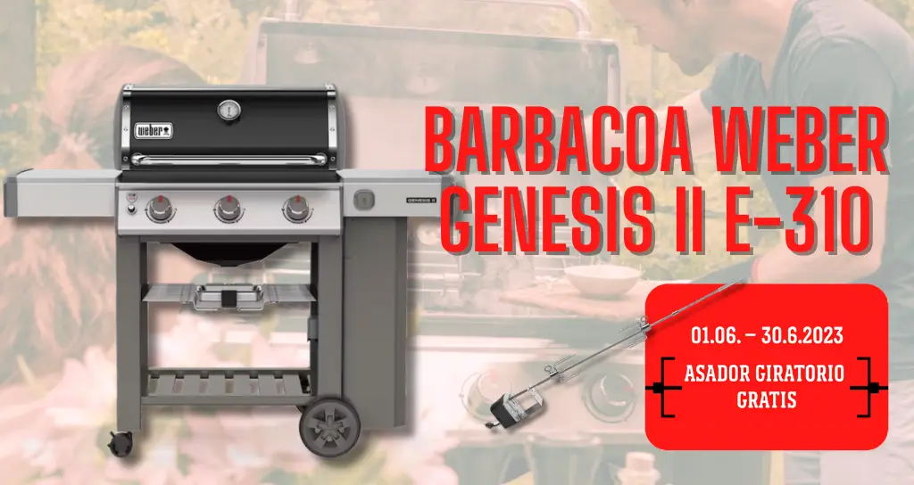 Barbacoa Weber Genesis II E-310.png