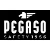 Pegaso Gafas