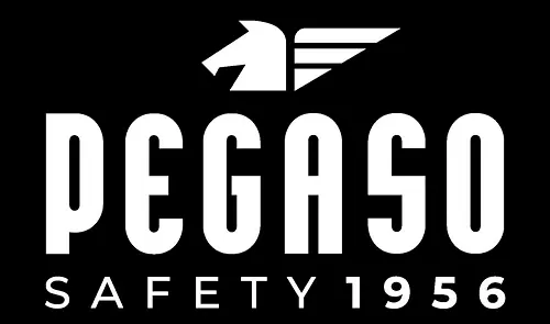 Pegaso Gafas