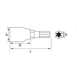 Vaso punta Torx 1/4'