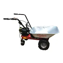 Carro motor de gasolina