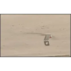Caja de 100 tuercas roscadas ATV para clavadora a gas