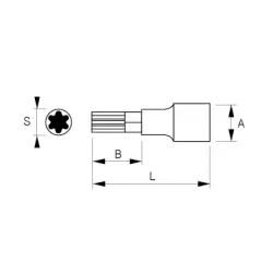 Vaso con punta Torx 1/2'' de Irimo