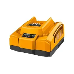 Cargador rápido de 20V -...