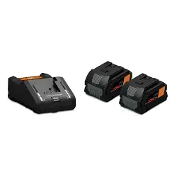 Set de 2 baterías de 8.0 Ah...